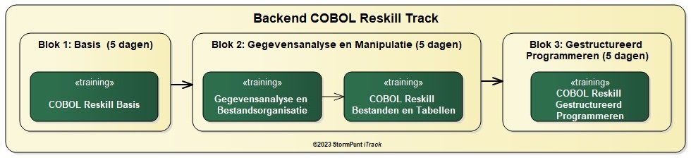Backend COBOL Reskill Track   2